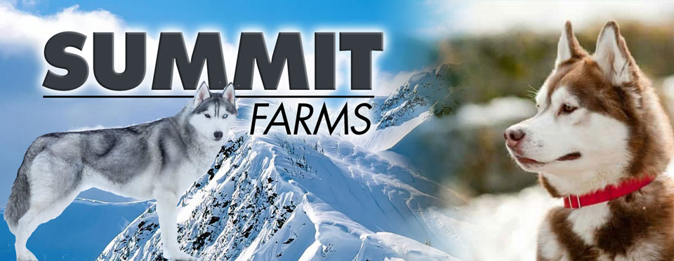 Summit Farms Banner featuring award-winning Alaskan Dogs